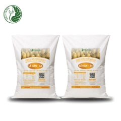 Combo Phân bón tổng hợp AB Dưa lê Hàn Quốc