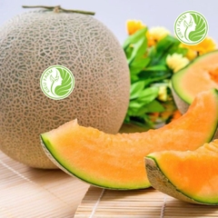 Hạt giống dưa lưới T-One - 1 hạt