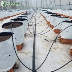 Hệ thống tưới hoàn thiện Kieufarm