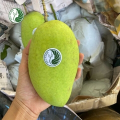 Xoài cát Hòa Lộc