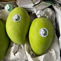 Xoài cát Hòa Lộc