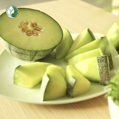 Dưa lưới ruột xanh Ichiba giống Nhật