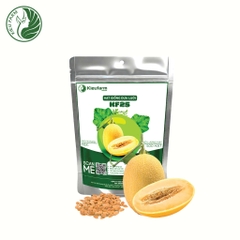 Hạt giống dưa lưới KF25_KIEUFARM
