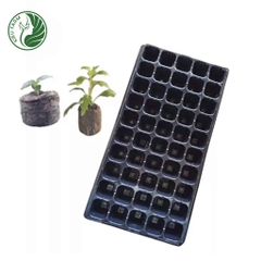Khay nhựa ươm hạt - loại 50 lỗ
