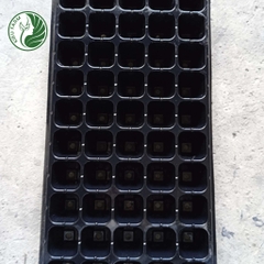 Khay nhựa ươm hạt - loại 50 lỗ