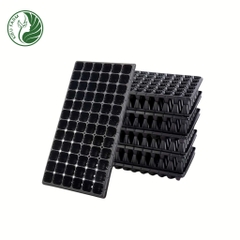 Khay nhựa ươm hạt - loại 50 lỗ