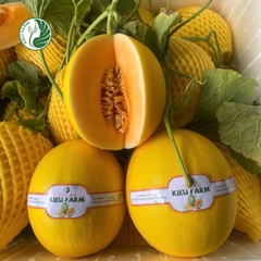 Dưa Lê Kim Hoàng Hậu