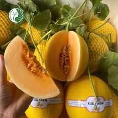 Dưa Lê Kim Hoàng Hậu