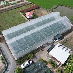 Thiết kế thi công nhà màng 1 mái lấy gió