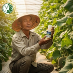 Thuốc trừ sâu Movento_KIEUFARM