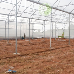 Lắp đặt nhà màng KV miền Bắc