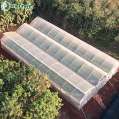 Nhà màng phơi 1 mái lấy gió Kieufarm