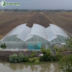 Nhà màng phơi 1 mái lấy gió Kieufarm