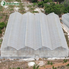 Nhà màng phơi 1 mái lấy gió Kieufarm