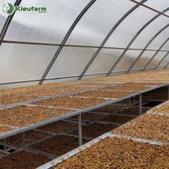 Nhà màng phơi không mái lấy gió Kieufarm
