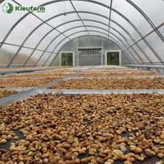 Nhà màng phơi không mái lấy gió Kieufarm