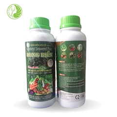 Phân bón hữu cơ rong biển AgroBest Seaweed Plus giúp phục hồi rễ nuôi dưỡng cây cho trái to