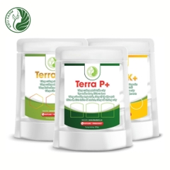 Combo phân gel NPK Kieufarm