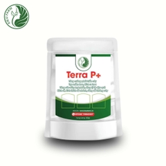 Phân bón lân gel Terra P_KIEUFARM