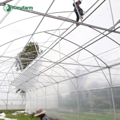 Dịch vụ thi công lợp mái nhà màng