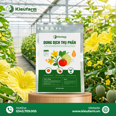 Dung dịch thụ phấn Kieufarm