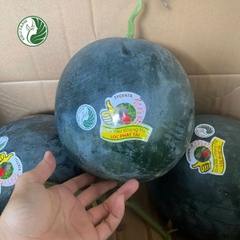 Dưa hấu Tiểu Hắc Long