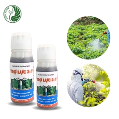 Trợ lực bám dính 247