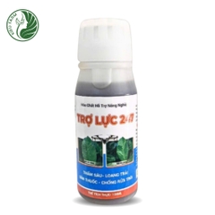 Trợ lực bám dính 247