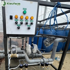 Tủ điều khiển trung tâm hệ thống tưới Kieufarm