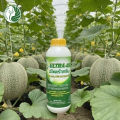 Phân tăng cường vôi sữa Ultra Green_KIEUFARM