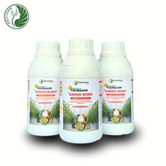 Phân bón hữu cơ Amino Boro - 100% Made in Italia