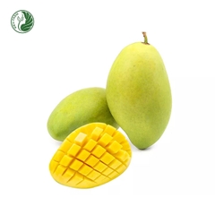 Xoài cát Hòa Lộc