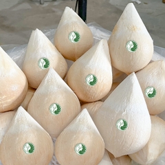 DỪA XIÊM TRỌC KIEUFARM
