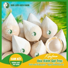 DỪA XIÊM TRỌC KIEUFARM