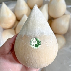 DỪA XIÊM TRỌC KIEUFARM