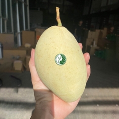 Xoài Cát Chu Vàng