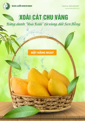 Xoài Cát Chu Vàng