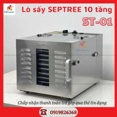 Lò sấy 10 tầng Septree