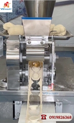 Máy gói và tạo hình sùi cảo, há cảo, bánh gối tự động S100
