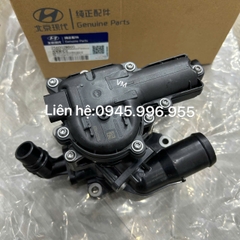 Van hằng nhiệt Hyundai Custin 1.5 256002M800
