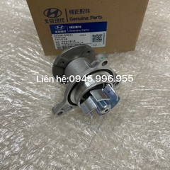 Bơm nước Kia Soluto 2510003011