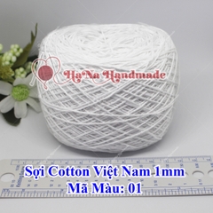 Sợi cotton Việt Nam (1mm) - màu trơn 01-46