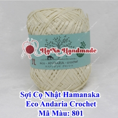 Sợi Cọ Nhật Hamanaka Eco Andaria Crochet