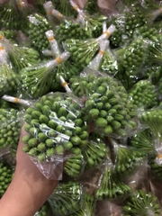 Nụ hoa mai/ đào