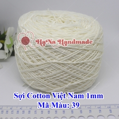 Sợi cotton Việt Nam (1mm) - màu trơn 01-46