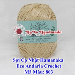 Sợi Cọ Nhật Hamanaka Eco Andaria Crochet