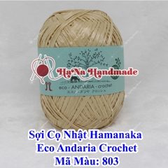 Sợi Cọ Nhật Hamanaka Eco Andaria Crochet