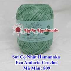 Sợi Cọ Nhật Hamanaka Eco Andaria Crochet