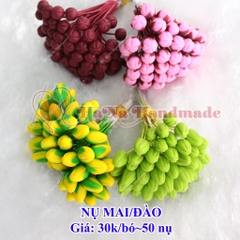 Nụ hoa mai/ đào