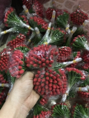 Nụ hoa mai/ đào